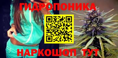 Альфа ПВП Жуковский