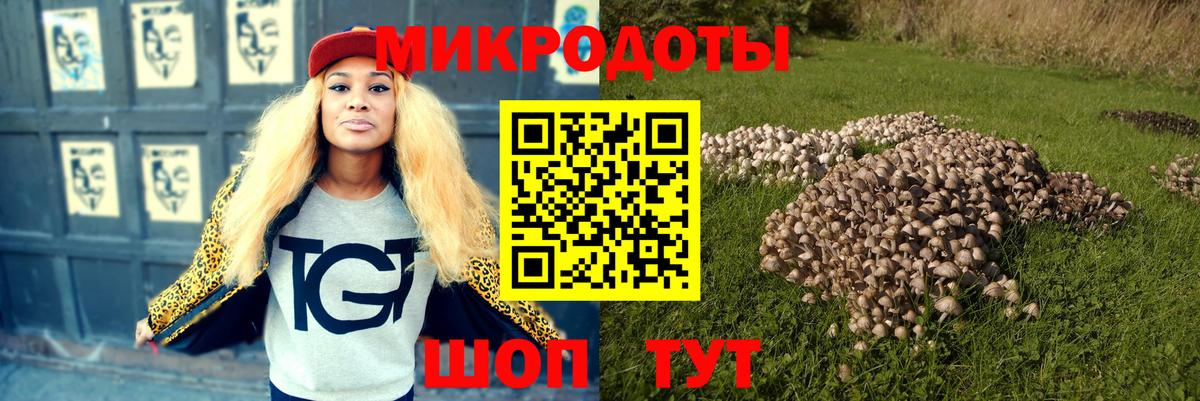 Псилоцибиновые грибы Psilocybe  Вход с VPN  Ленинск-Кузнецкий  Галлюциногенные грибы Psilocybe 