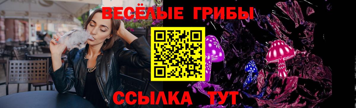 Псилоцибиновые грибы Psilocybe Ленинск-Кузнецкий